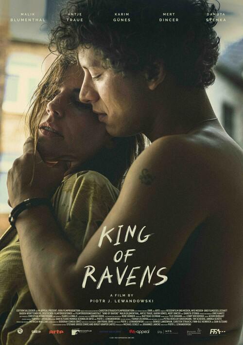 《城市上空的乌鸦》电影封面