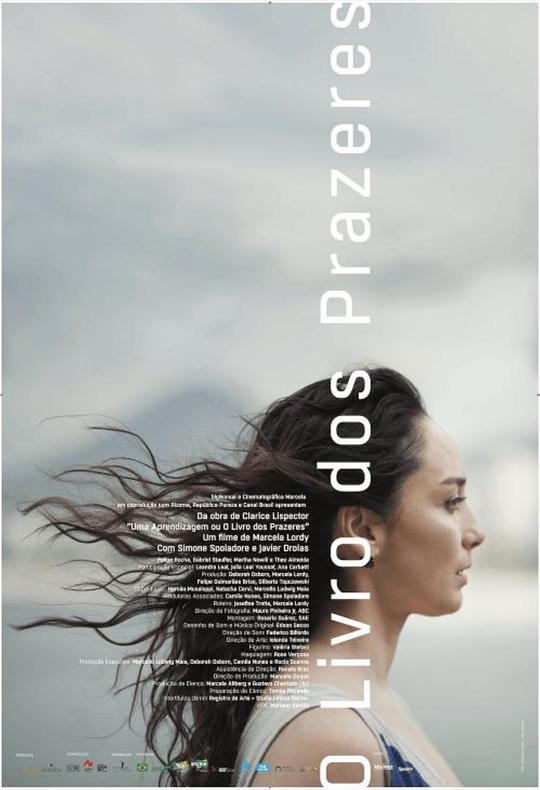 《欢愉之书》电影封面