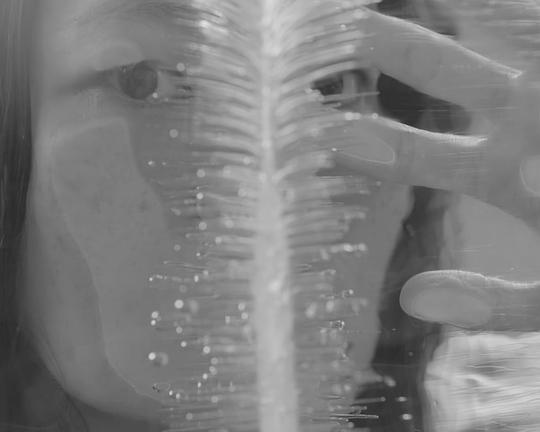 《記憶中混濁的霧是我的畫像》电影封面