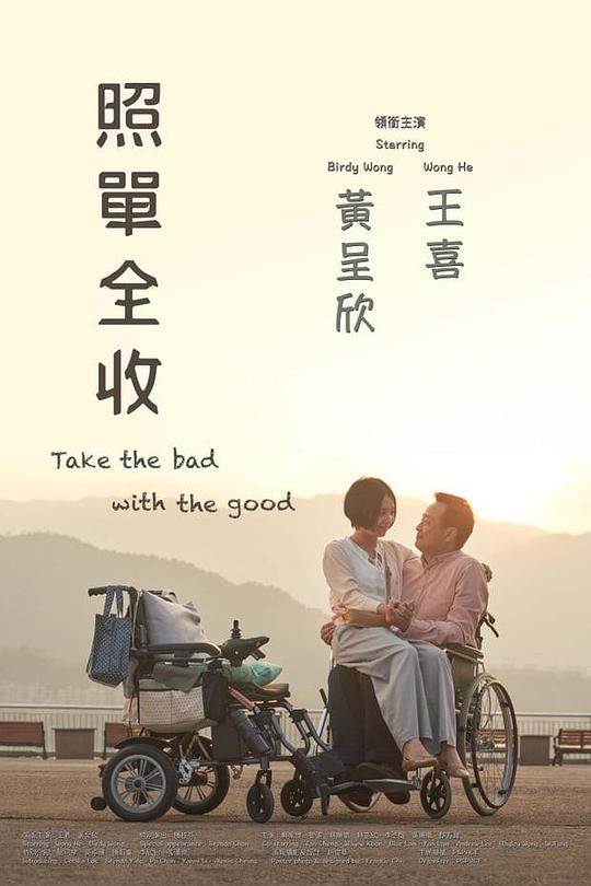 《照单全收》电影封面