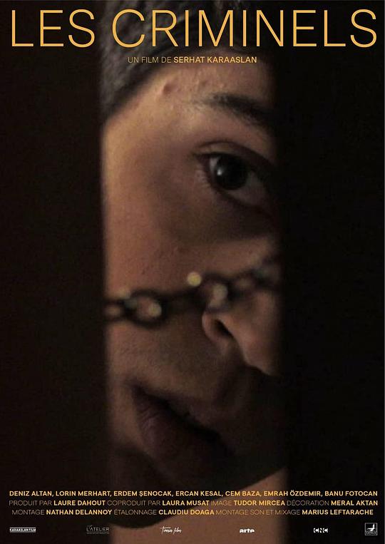 《犯罪分子》电影封面