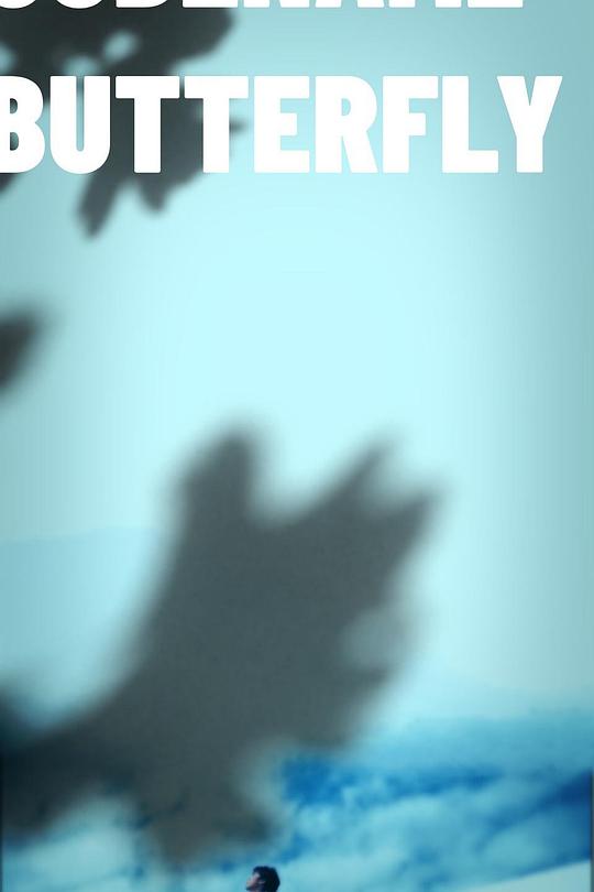 《梦制时镜中的疗养院》电影封面