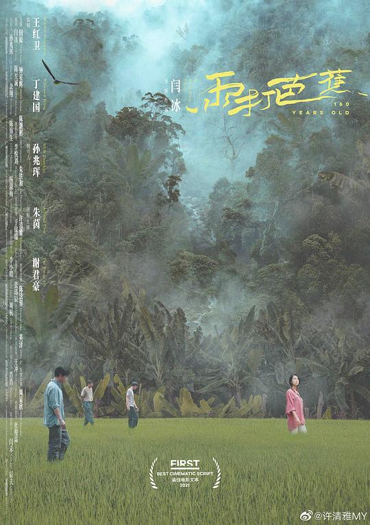 《雨打芭蕉》电影封面