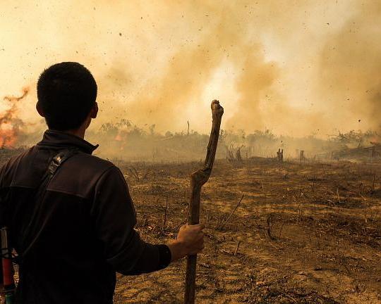 《以启山林》纪录片封面