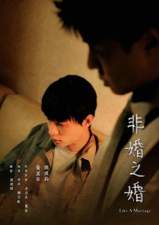 《非婚之婚》电影封面