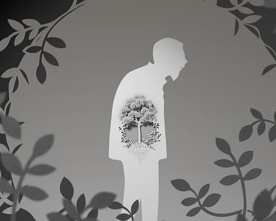 《蘊・孕》动画封面