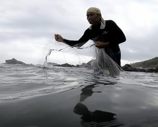 《返潮彼時的生與死》纪录片封面