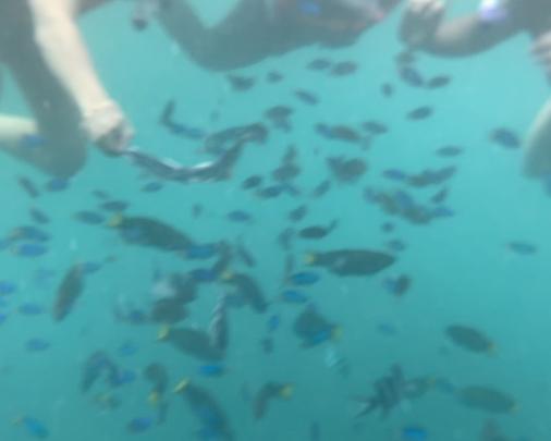 《卜生》电影封面