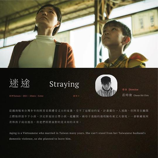 《迷途》电影封面