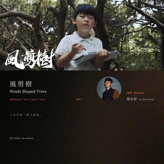 《风剪树》电影封面