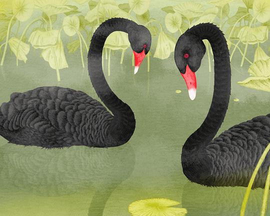 《新房客》动画封面