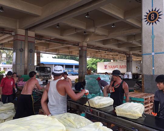 《出魚工》纪录片封面