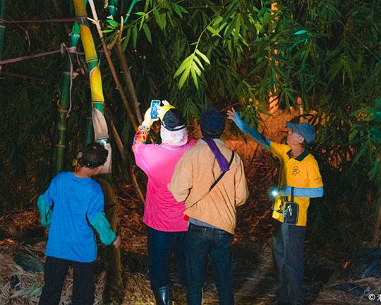 《漸弱的蛙鳴》纪录片封面