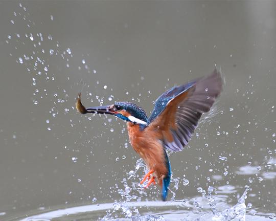 《水水世界》纪录片封面