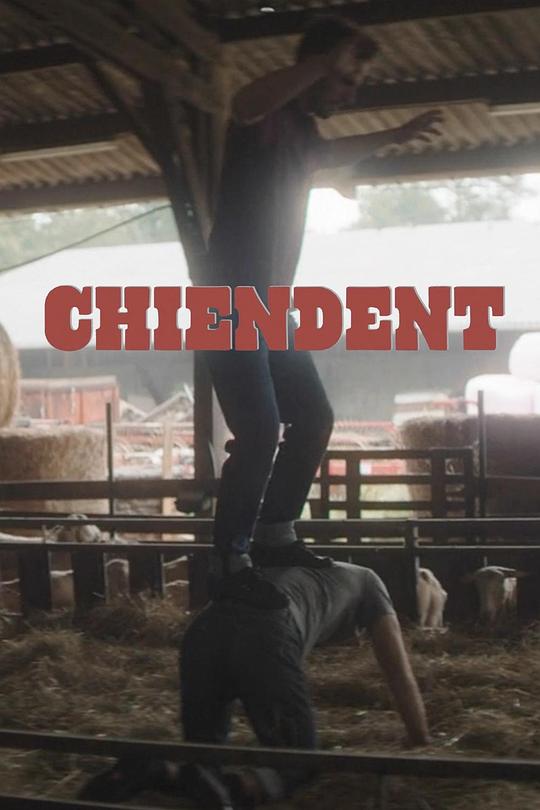 《Chiendents》电影封面