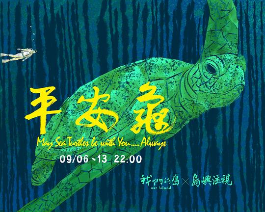 《平安龟》纪录片封面