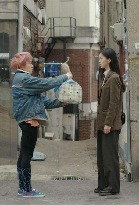 《두 고양이의 이별》电影封面