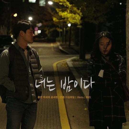 《你是黑夜》电影封面