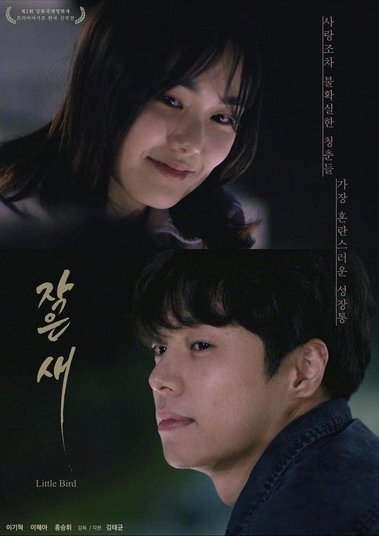 《小鸟》电影封面