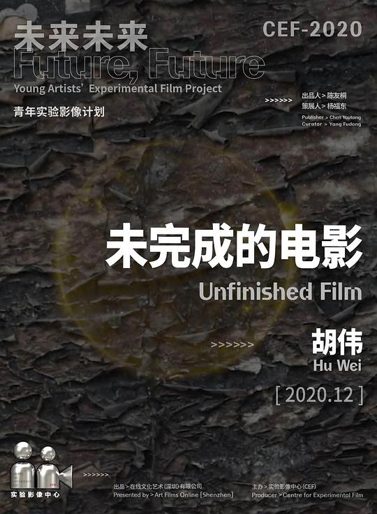 《未完成的电影》电影封面