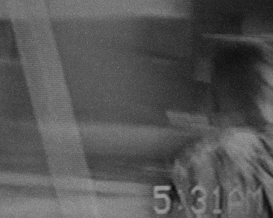 《Surviving You, Always》电影封面