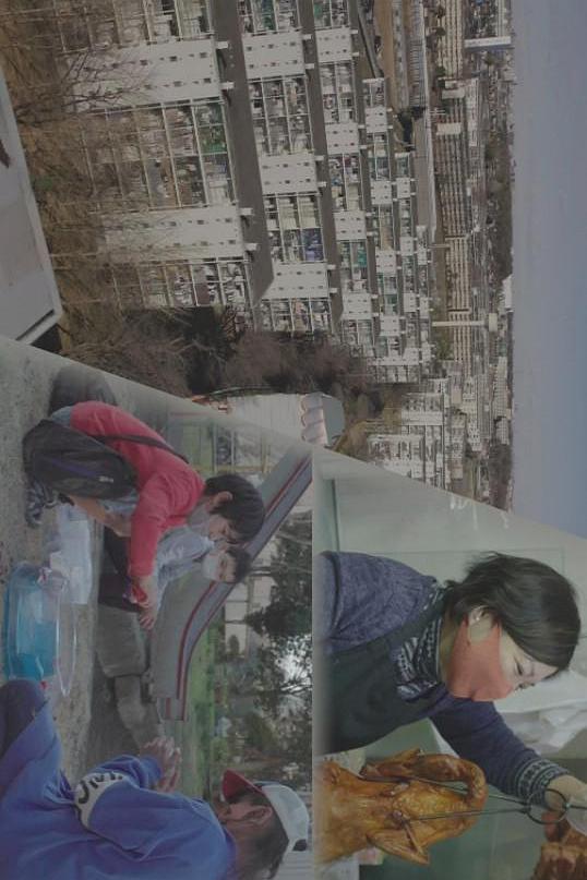 《纪实72小时 多国籍小区里的辞旧与迎新》纪录片封面