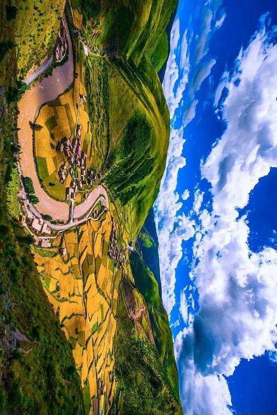 《唐卡画师之乡》纪录片封面