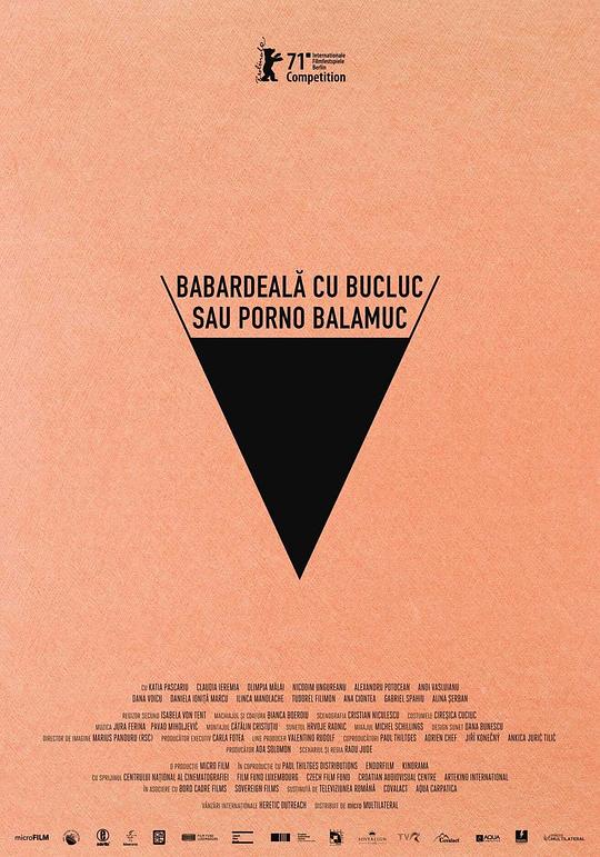 《倒霉性爱，发狂黄片》电影封面