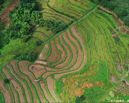 《一粒种子~杨儒门日记》纪录片封面
