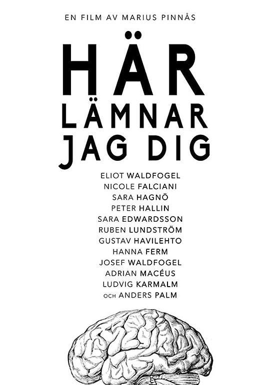 《Här lämnar jag》电影封面