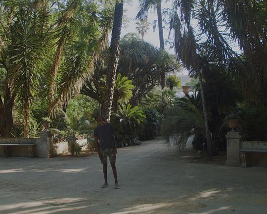 《巴勒莫黑太阳》纪录片封面