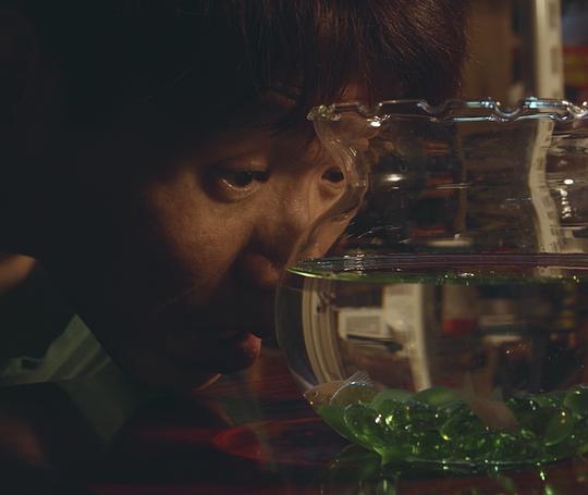 《코리도라스》纪录片封面