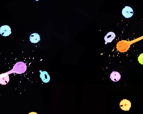 《Firefly》动画封面