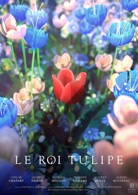 《Le Roi Tulipe》动画封面