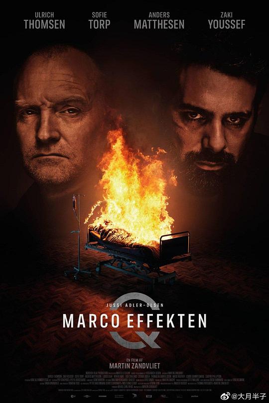 《悬案密码5：马可效应》电影封面