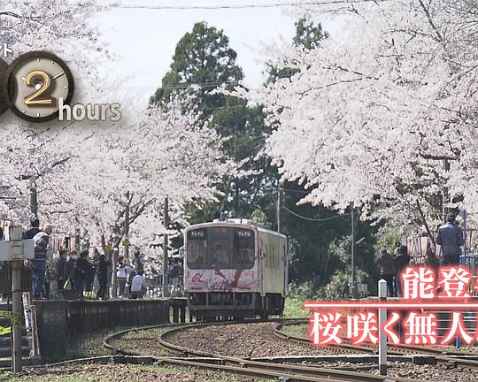 《纪实72小时 能登半岛·樱花盛放的无人车站》纪录片封面