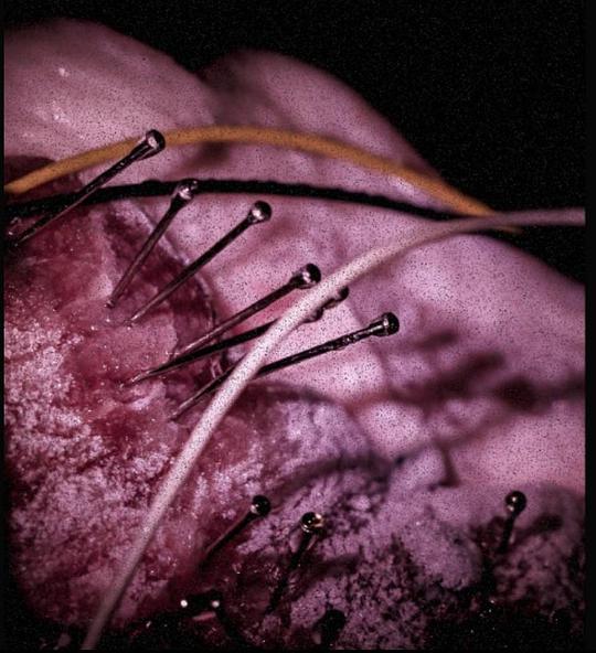 《插电的肉》电影封面