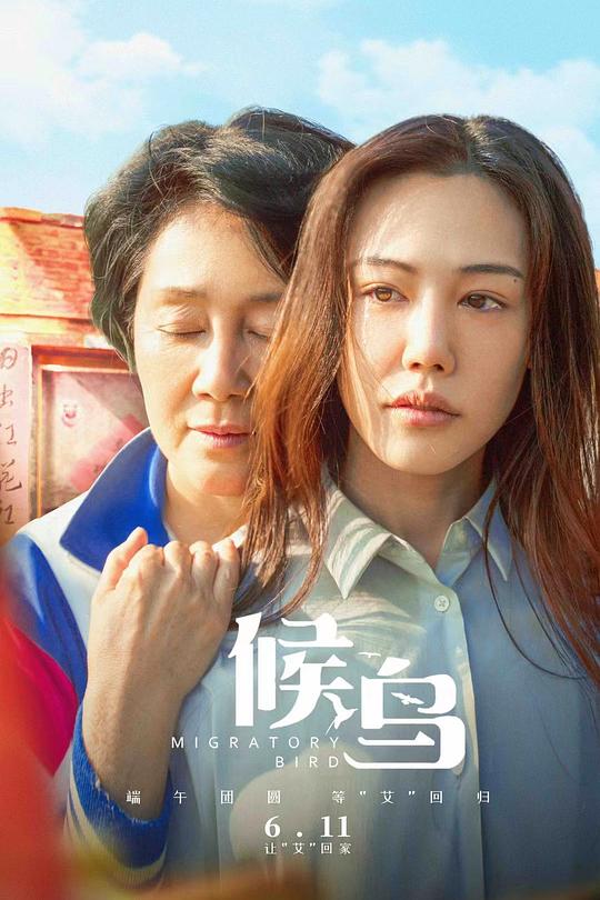 《候鸟》电影封面