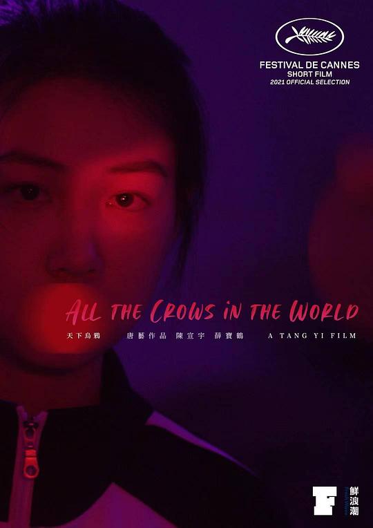 《天下乌鸦》电影封面