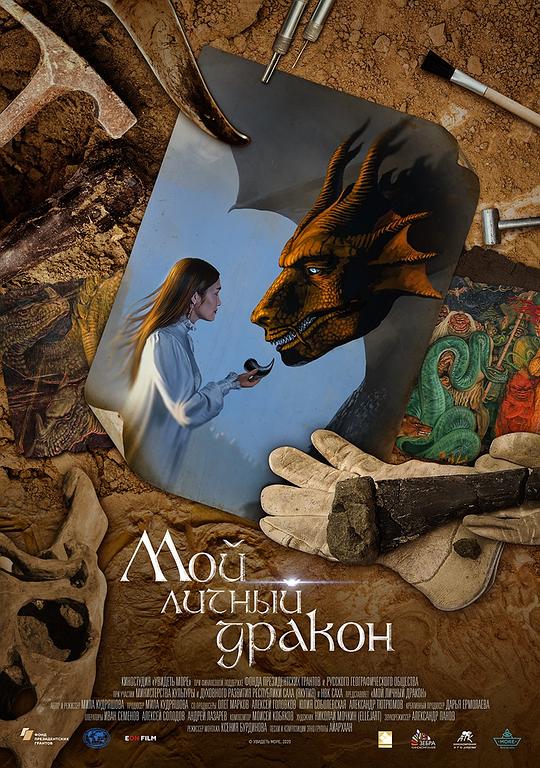 《Мой личный дракон》电影封面