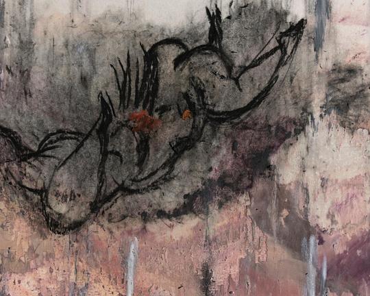 《软动物》动画封面