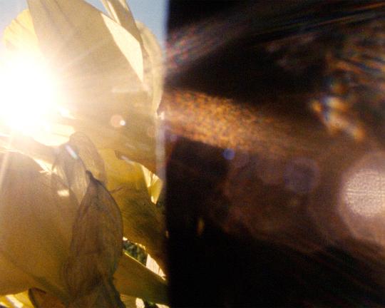 《拜六下晡》电影封面