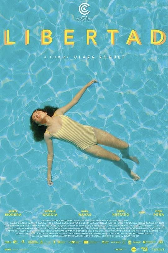 《十五岁的夏天》电影封面