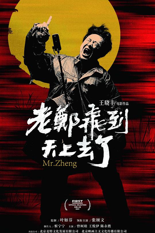 《老郑飞到天上去了》电影封面