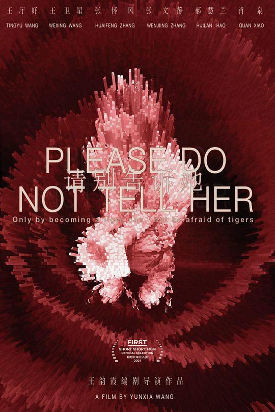 《请别告诉她》电影封面