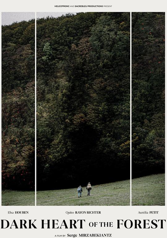 《森林的黑暗心脏》电影封面