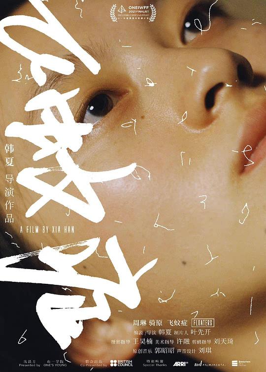 《飞蚊症》电影封面