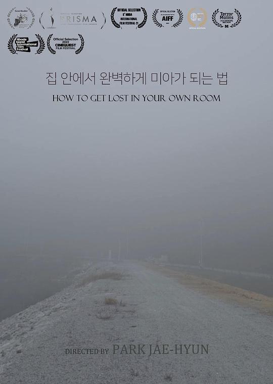 《在家里完美迷路的方法》电影封面