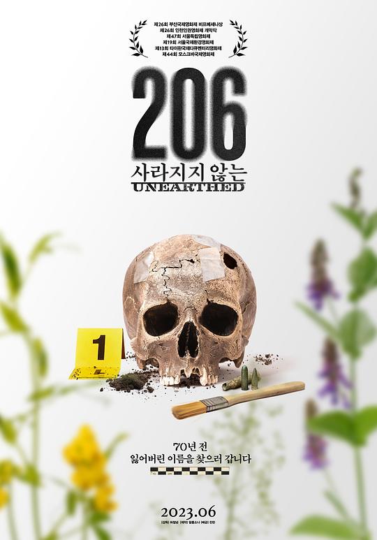 《206：记忆出土》纪录片封面