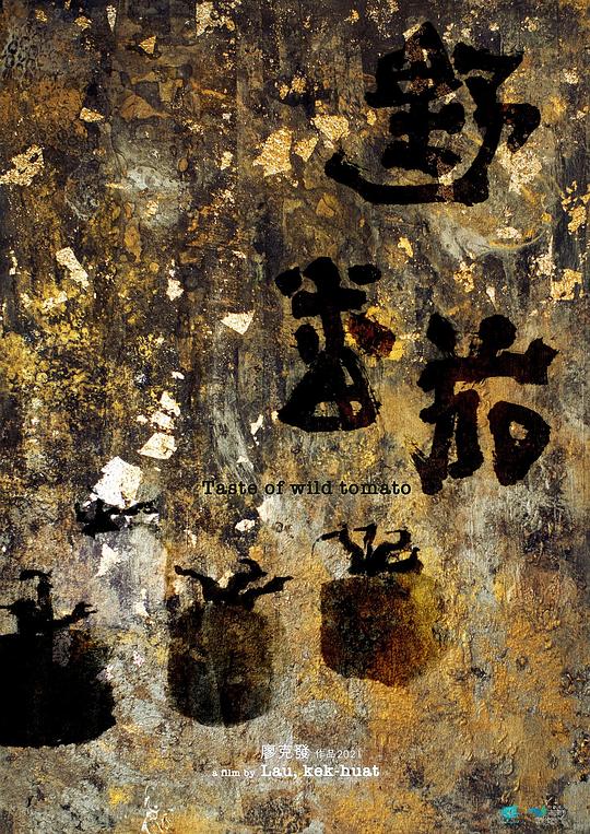 《野番茄》纪录片封面